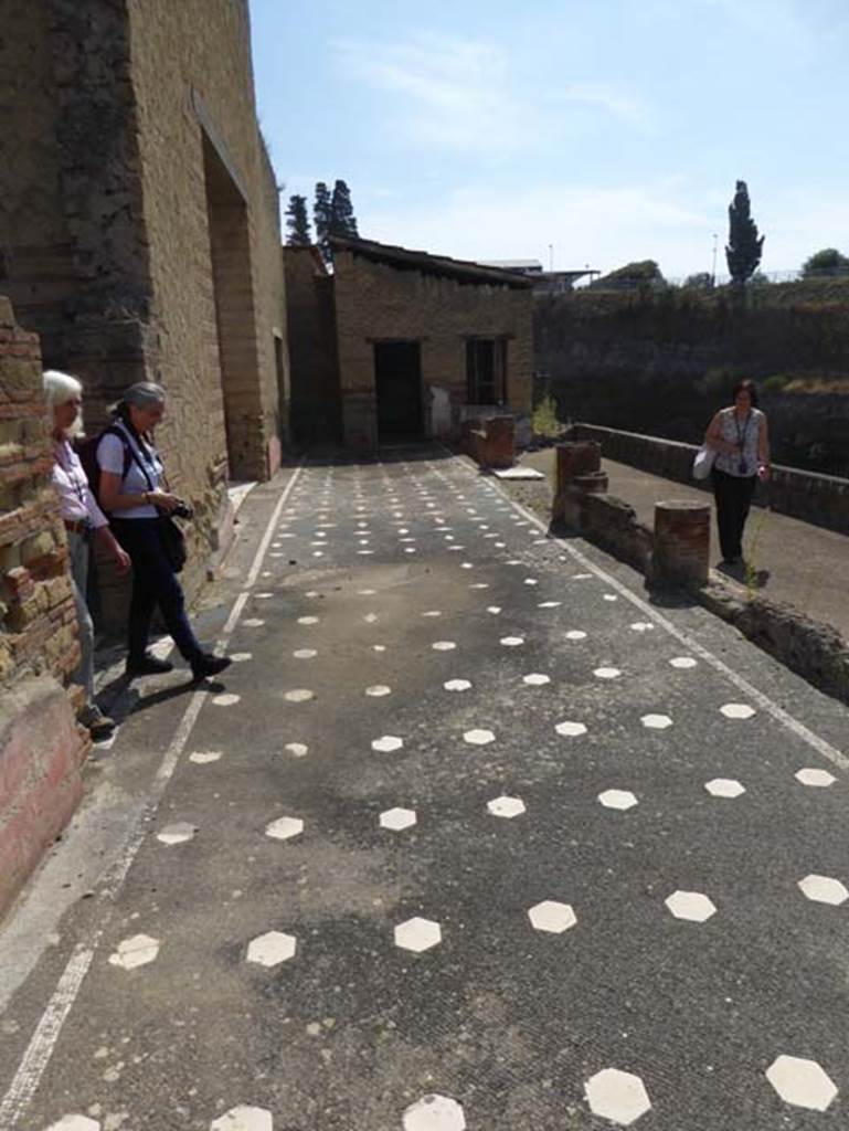 IV.2/1, Herculaneum, September 2016. Looking east across covered portico, and onto terrace which would have overlooked the beachfront. Photo courtesy of Michael Binns.